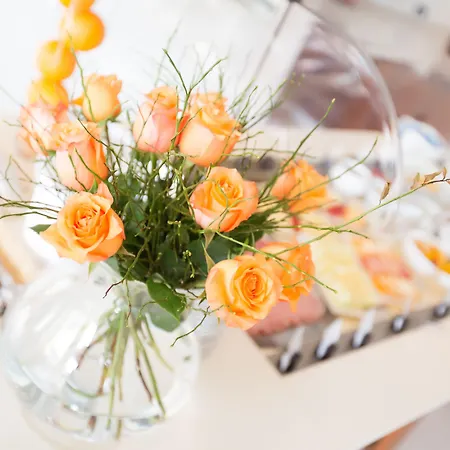 מלון Reinisch Just שווכאט