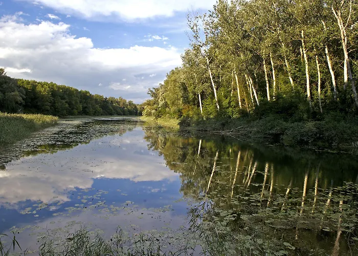 Das Reinisch Just Rooms Hotel Schwechat